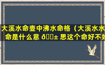 大溪水命壶中沸水命格（大溪水水命是什么意 🐱 思这个命好不好 🪴 ）